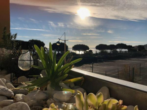 T3 climatisé, 3*, 50m de la plage, garage, wifi inclus - FR-1-610-37